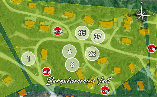 Tomter Berghomman vest